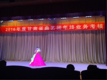 甘肅省曲藝團開展2016年年終專業(yè)技術(shù)人員業(yè)務(wù)考核大會