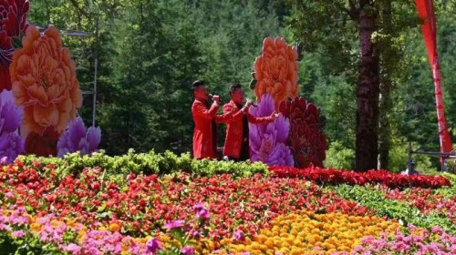 6月13日，“2023中國(guó)花兒大會(huì)”將盛大開(kāi)幕